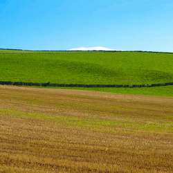 Similar image 5602086