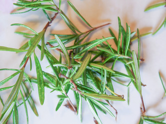 Similar image 5602108