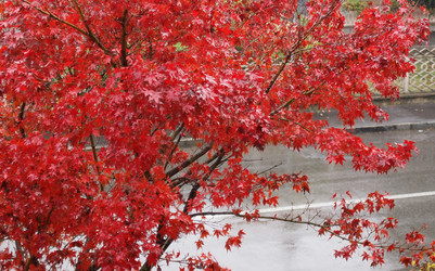 Similar image 5602134