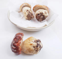 Similar image 5602295