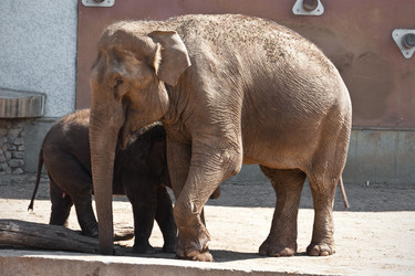 Similar image 5602307