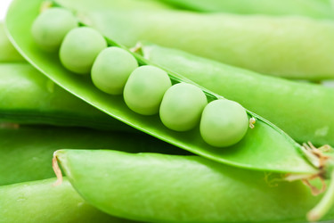 Similar image 5602317