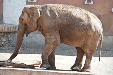 Similar image 5602318