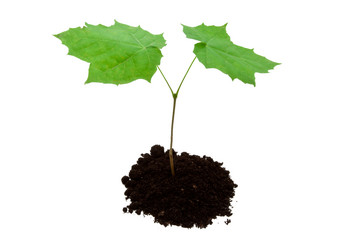 Similar image 5602403