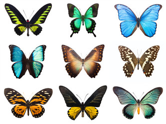 Similar image 5602410