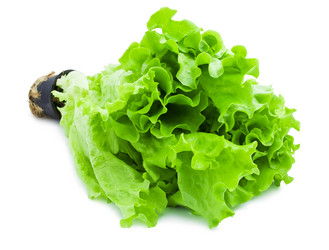 Similar image 5602446