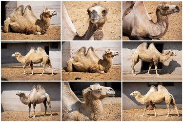 Similar image 5602449