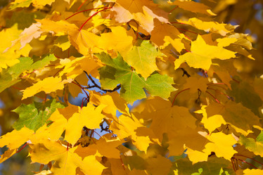 Similar image 5602453