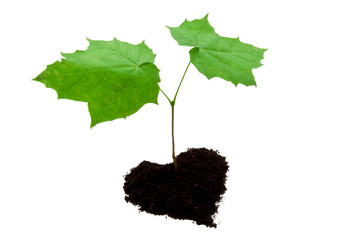 Similar image 5602459