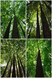 Similar image 5602468