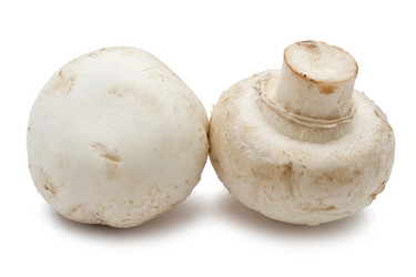 Similar image 5602506