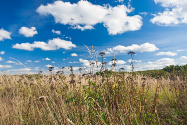 Similar image 5602507