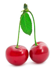 Similar image 5602534