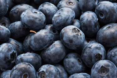 Similar image 5602565