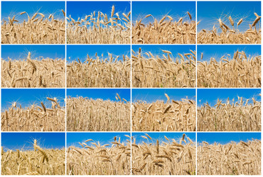 Similar image 5602566