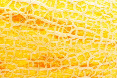 Similar image 5602571