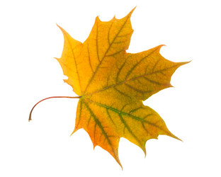 Similar image 5602576