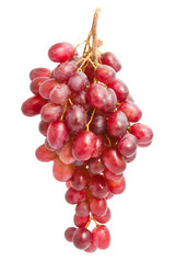 Similar image 5602585