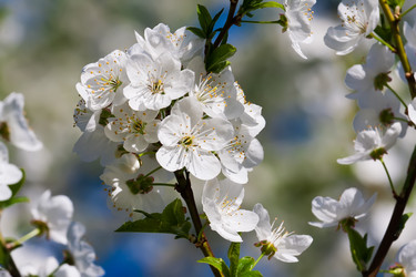 Similar image 5602593