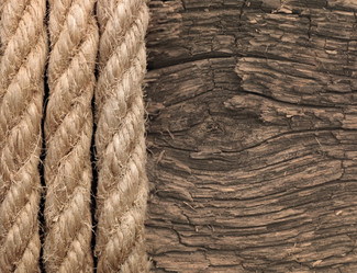 Similar image 5602715