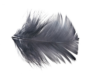 Similar image 5602804