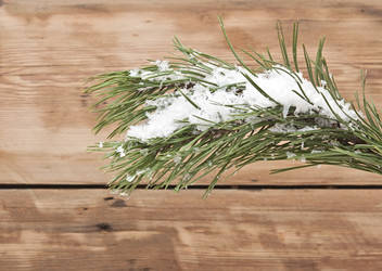 Similar image 5602886