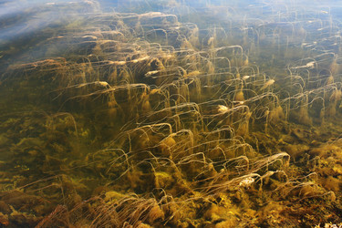 Similar image 5603100