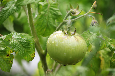 Similar image 5603103