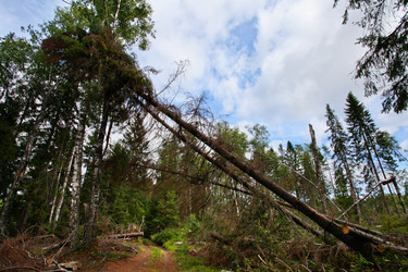 Similar image 5603104