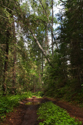 Similar image 5603106