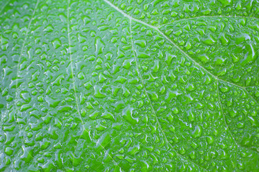 Similar image 5603107