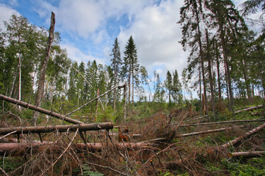 Similar image 5603109