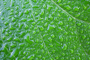 Similar image 5603119