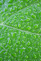 Similar image 5603125