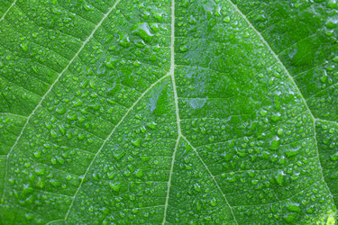 Similar image 5603128