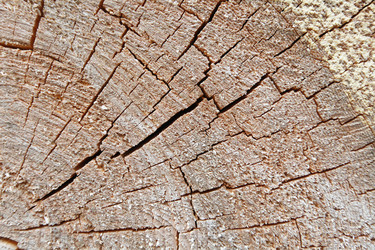 Similar image 5603134