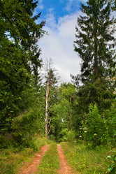 Similar image 5603136