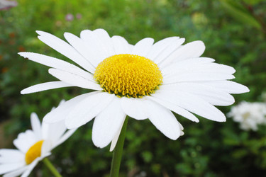 Similar image 5603157