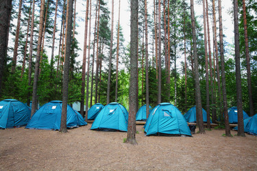 Similar image 5603160