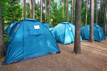 Similar image 5603165