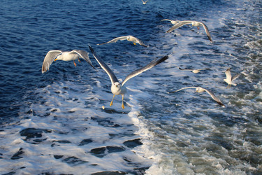 Similar image 5603172