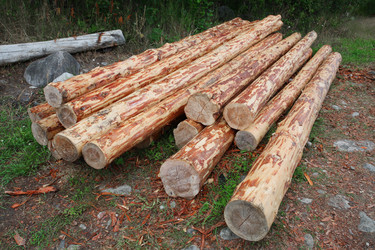 Similar image 5603187