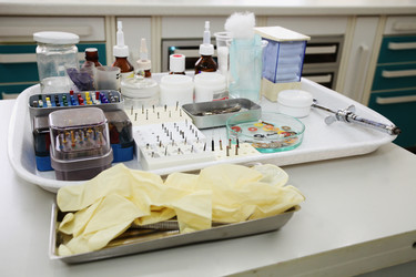 Similar image 5603189