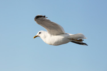 Similar image 5603198