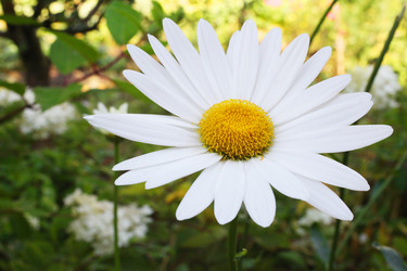 Similar image 5603199