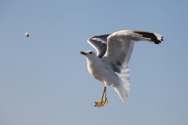 Similar image 5603215