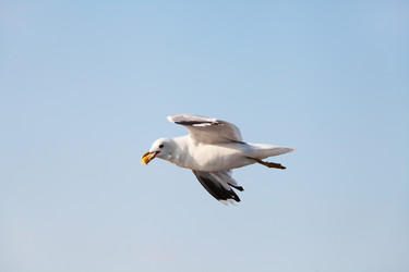 Similar image 5603231