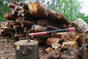 Similar image 5603241