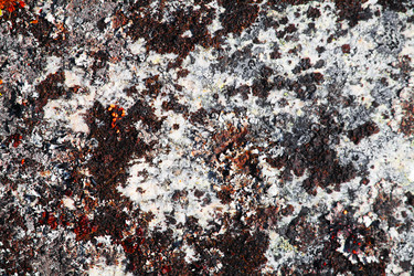 Similar image 5603245