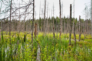 Similar image 5603304